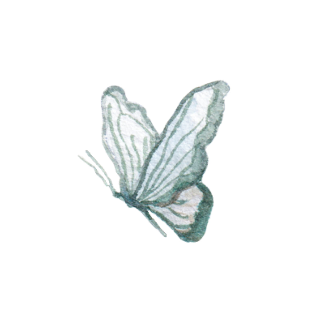 Blue Butterfly No. 2