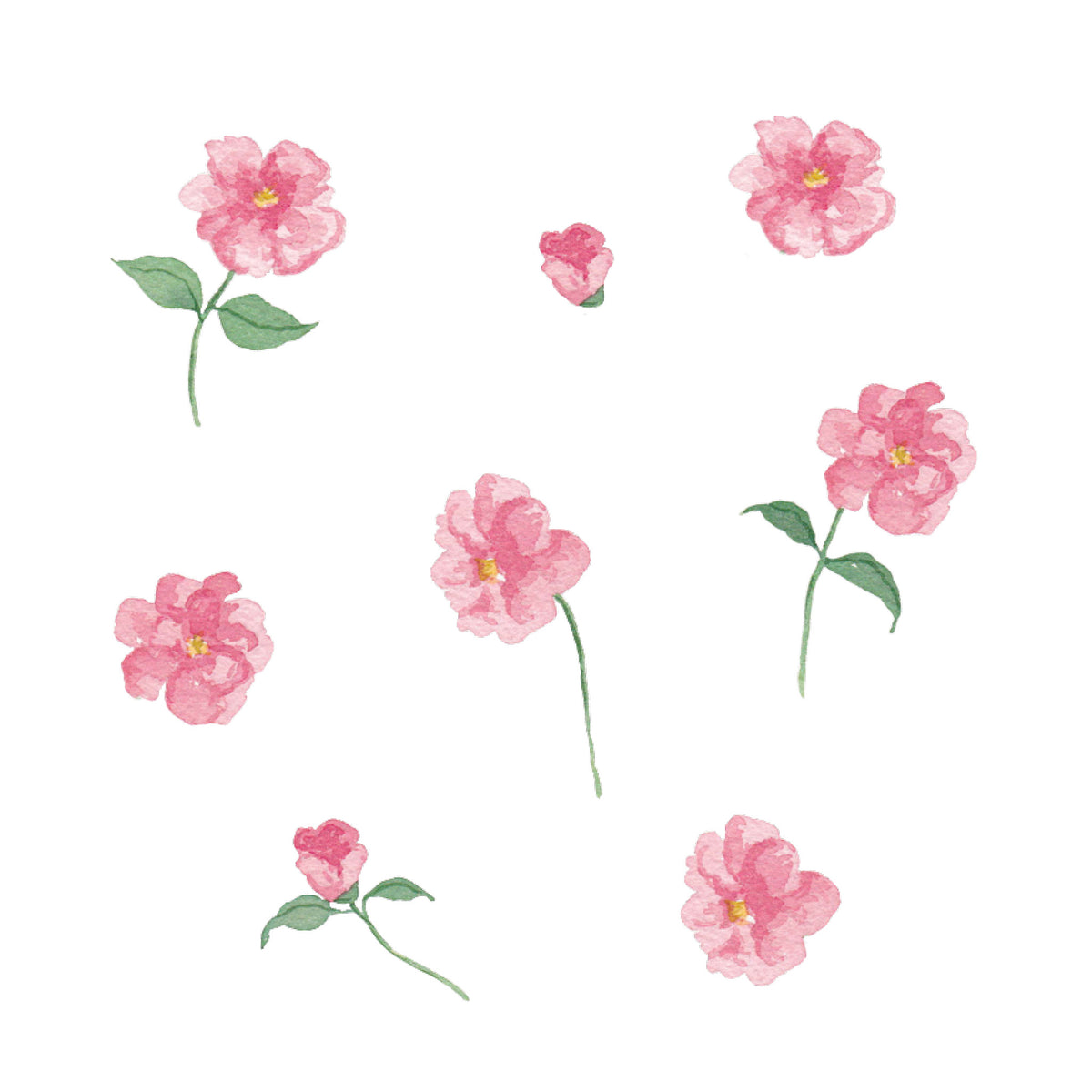 Pink Camellia | Collection 1