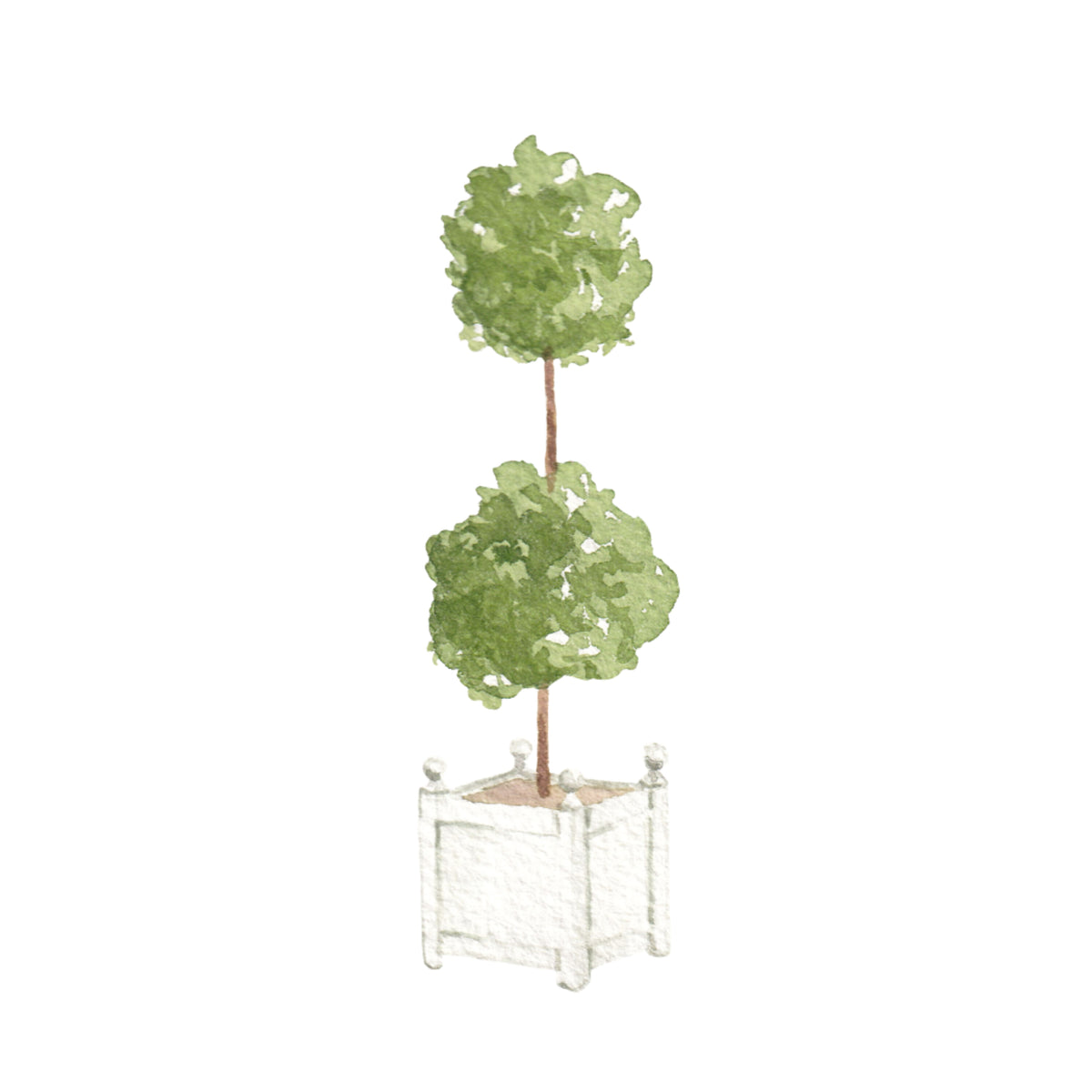 Potted Topiary